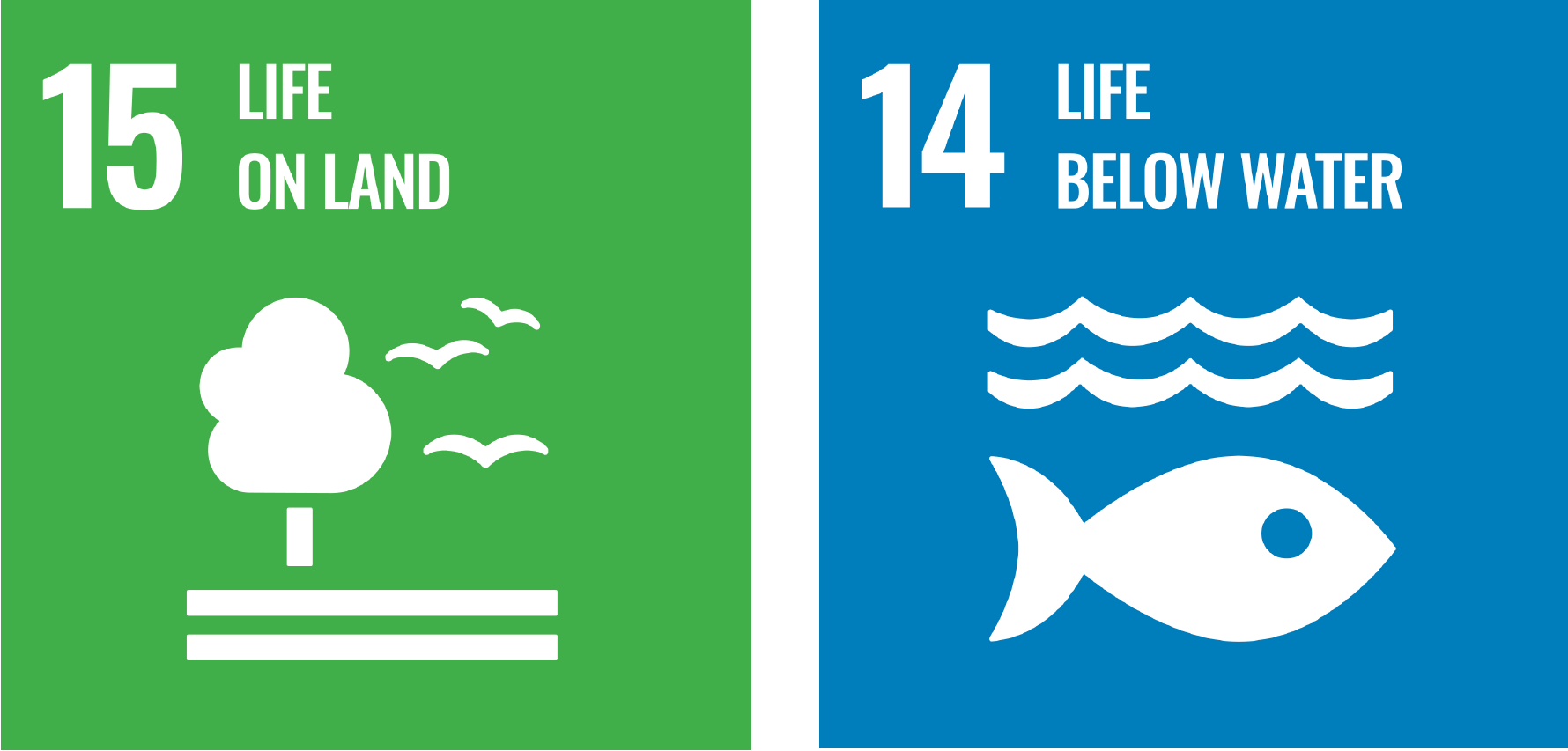 Sustainable Development Goals 14 and 15 icons for intego travel conservation travel guide