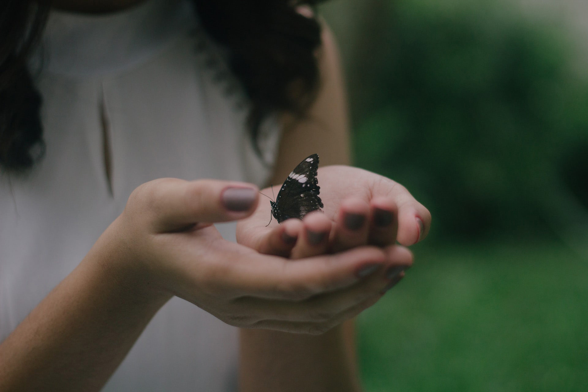 close up of a girl's hands holding a black and white butterfly in her palms for intego travel ecotourism travel guide