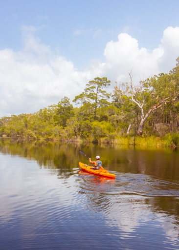 A kayaker glides past while kayaking camping upper noosa river