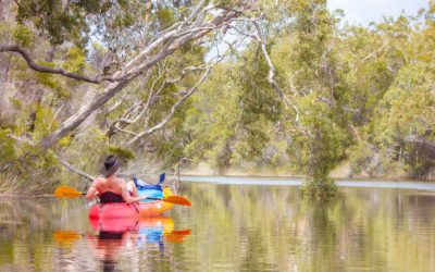 Your Complete Guide to Kayak Camping in the Upper Noosa River