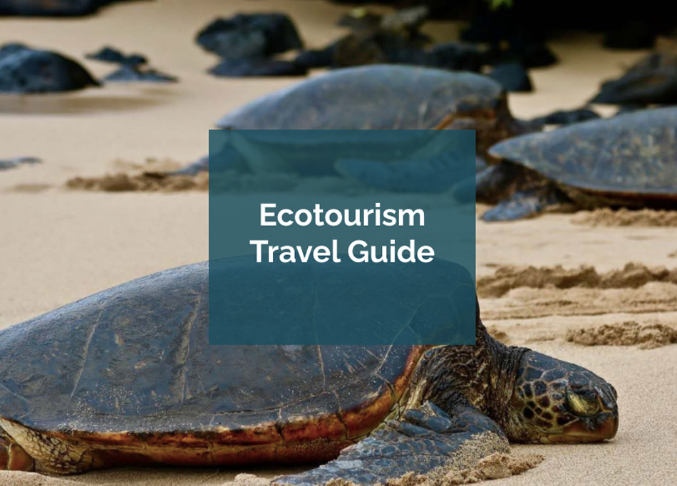 What Is The Correct Definition Of Ecotourism