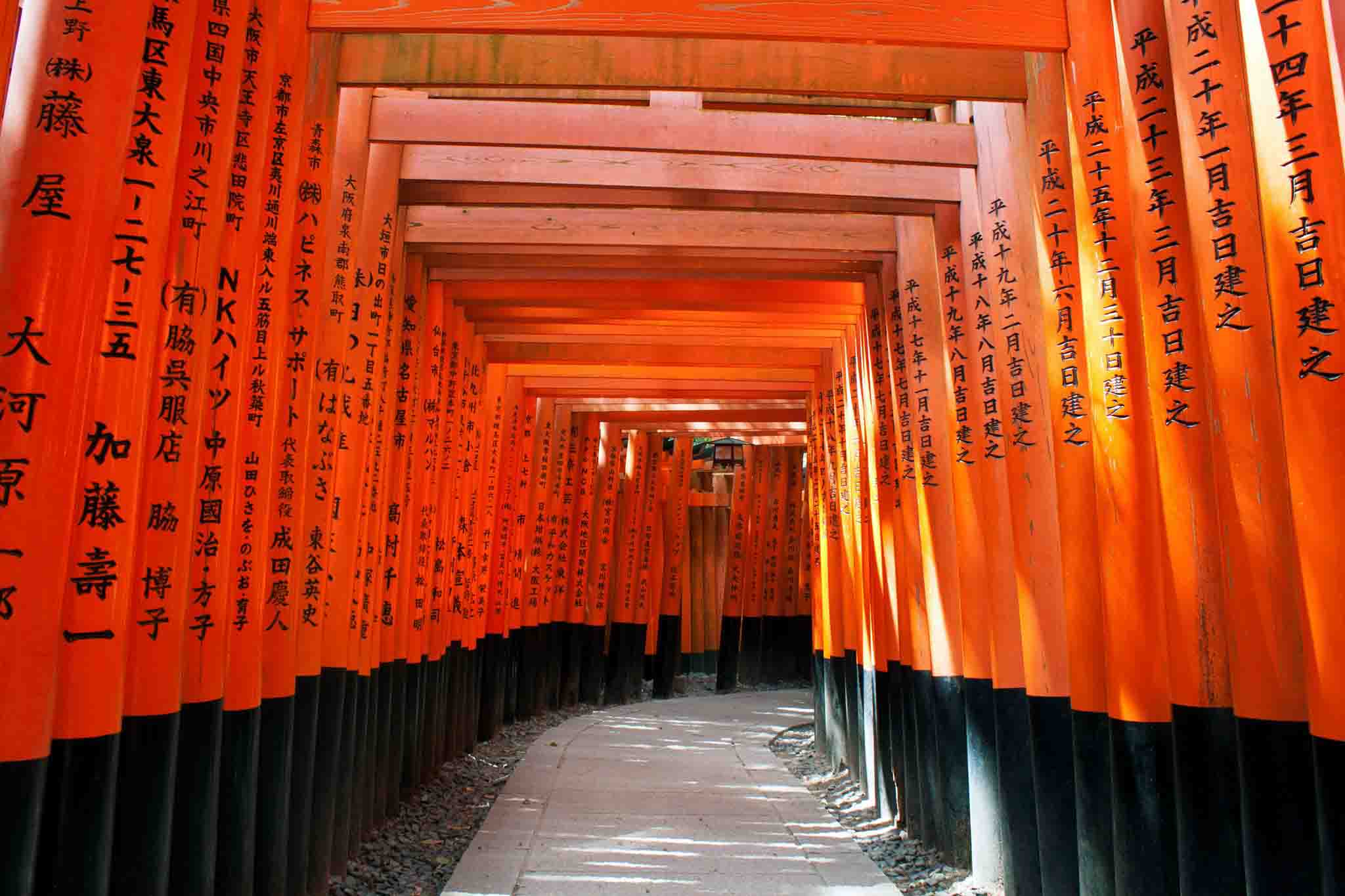 Torii gates in Japan for Intego Travel
